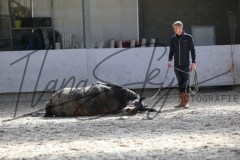 IMG_8252